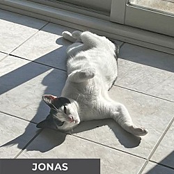 Thumbnail photo of Jonas #2