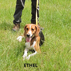 Thumbnail photo of Ethel #2