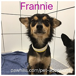 Thumbnail photo of Frannie #2