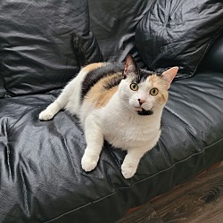 Photo of sophia