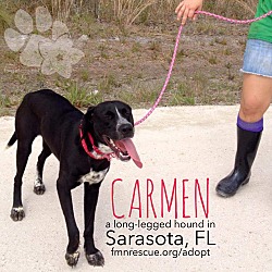 Thumbnail photo of Carmen #1