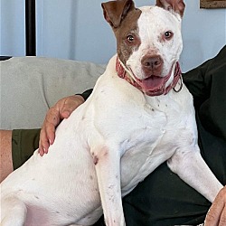 Photo of Evie