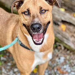 Photo of Chase