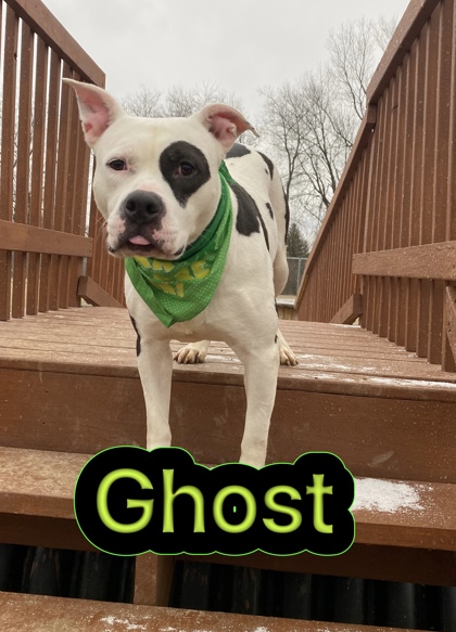 Thumbnail photo of Ghost #1