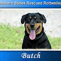 Photo of Butch