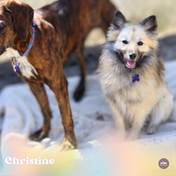 Thumbnail photo of Christine #4