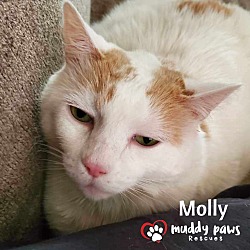 Photo of Molly (Courtesy Post)