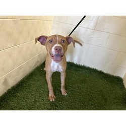 Photo of WALDO