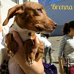 Thumbnail photo of Brenna #1