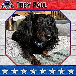Photo of Toby Paul