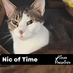 Photo of Nic of Time