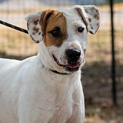Photo of Wishbone JuM