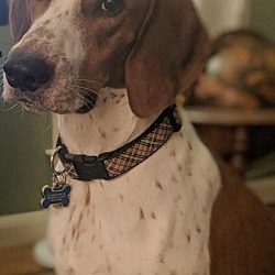 Photo of Pickett