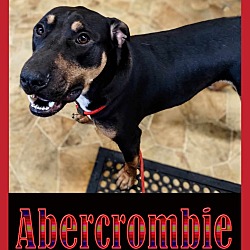 Thumbnail photo of Abercrombie #1