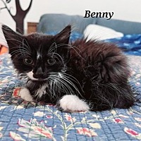 Photo of Benny