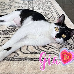 Thumbnail photo of Gia #4