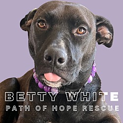 Photo of Betty White