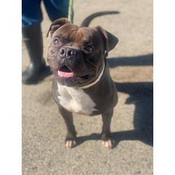 Photo of ACHILLES