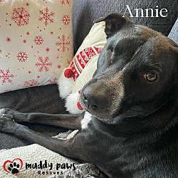 Thumbnail photo of Annie (Courtesy Post)) #3