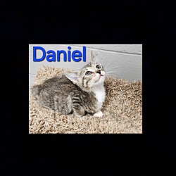 Photo of Daniel