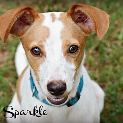 Thumbnail photo of Sparkle ~ meet me! #1