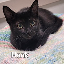 Thumbnail photo of Hank Hill #2