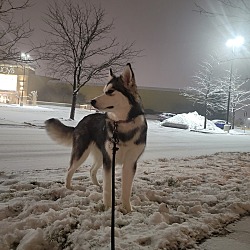 Photo of Aurora
