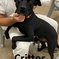 Photo of Critter