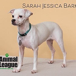 Thumbnail photo of Sarah Jessica Barker #4
