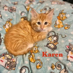 Thumbnail photo of Karen #1