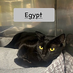 Thumbnail photo of Egypt #2