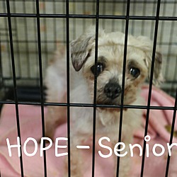 Thumbnail photo of HOPE #1
