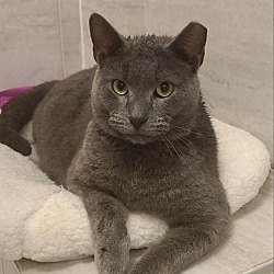 Photo of Greygory