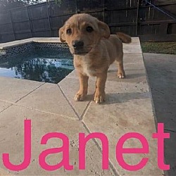 Photo of Janet