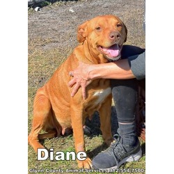 Photo of DIANE
