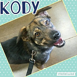 Thumbnail photo of Kody #1
