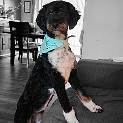Photo of Mya