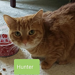 Photo of Hunter
