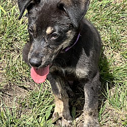 Photo of Parker