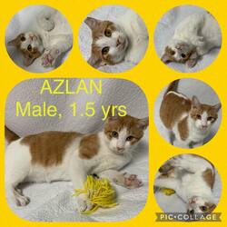 Photo of Azlan