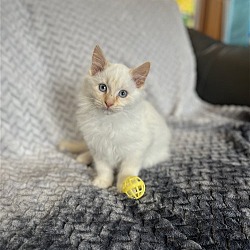 Photo of Billy