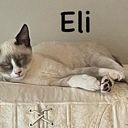 Thumbnail photo of Eli #2