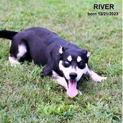 Thumbnail photo of River-0483 #1