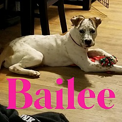 Photo of Bailee