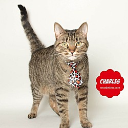 Thumbnail photo of CHARLES #2