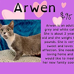 Photo of Arwen