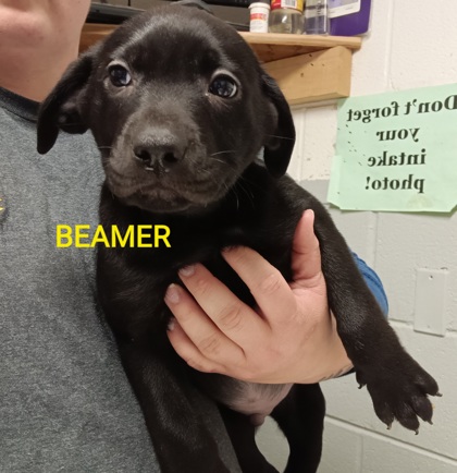 Photo of BEAMER