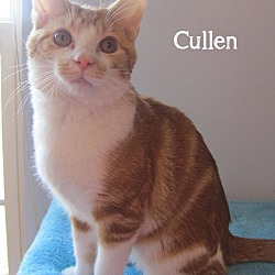 Thumbnail photo of Cullen #1
