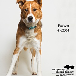 Thumbnail photo of Puckett #2