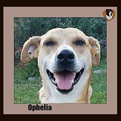 Thumbnail photo of Ophelia #1